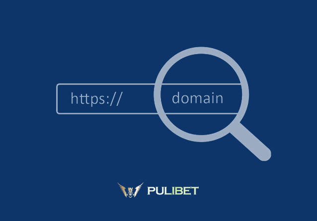 Pulibet729 Yeni Adres