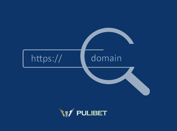 Pulibet733 Yeni Adres